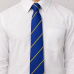 Bangor Grammar Year 8 to 12 Tie