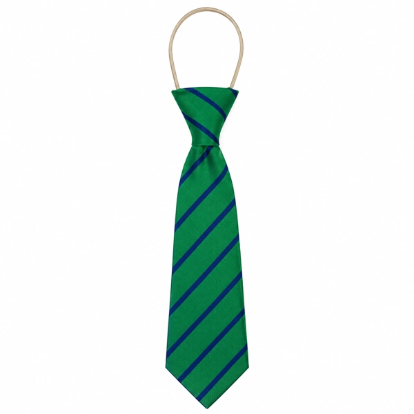 Bangor Central PS Elastic Tie