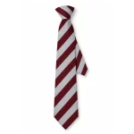 Clandeboye PS Clip on Tie