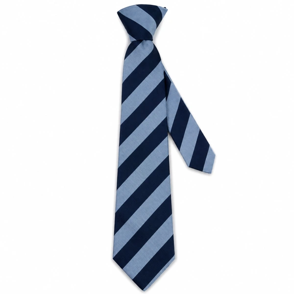 Grange Primary School Tie