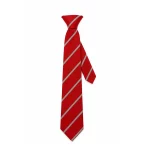Towerview Clip on tie