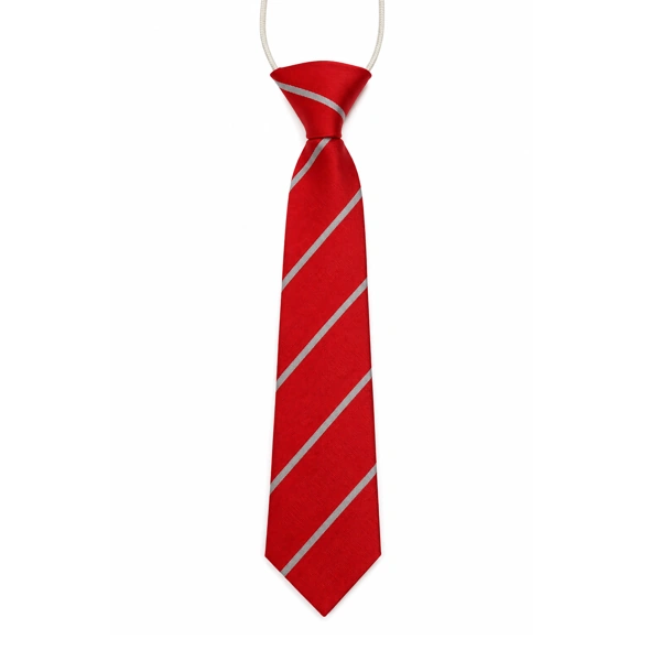 Towerview PS Elastic Tie