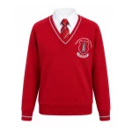 Towerview V Neck Sweater by Charles Kirk
