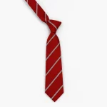 Towerview Tie