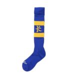 BGS 2025 Playing Socks New