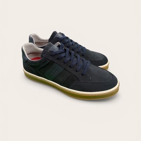 Tommy Bowe Pietsch Trainer - Storm