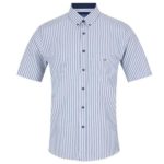 DG's Drifter Navy / White Reg SS Casual Shirt - 14802 SS 18